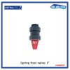 สปริงฟุตวาล์ว/Astral pool/Cepex/Spring Foot valve/UPVC 1"