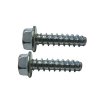 Mounting Foot Cap Screw]
