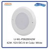 ไฟสระว่ายน้ำ PSN28042 42W /12V/DC/4 M Cable with 2 Cores/Single Color - White**เฉพาะดวงไฟ ไม่รวมกรอบ