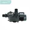 ปั๊ม WL-KP Pool Pump: 220V/50Hz, 3 HP/2.2 kw