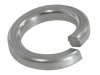 No.16 Spring washer  for  SWPB Pump Laswim