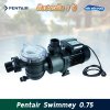 ปั๊ม Pentair Swimmey 0.75  (HP) / (0.50 KW.)