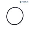 โอริงฝาปั๊ม [Strainer Cover O-Ring] for WhisperFlo