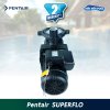 ปั๊ม Pentair Superflo 