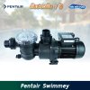 ปั๊ม Pentair Swimmey