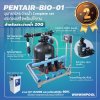ชุด Complete set PENTAIR-BIO-01 ระบบ UV+OZONE สำหรับสระว่ายน้ำไม่เกิน 20 คิว ประกอบเสร็จพร้อมใช้งาน