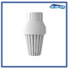 Spring Inline Foot Valve  2"