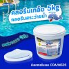 คลอรีนเกล็ด T.C.C.A 90% 5 KG Whale Pool
