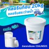 90%TCCA90T 20 KG. Whale Pool