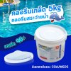 คลอรีนเกล็ด T.C.C.A 90% 5 KG Whale Pool