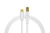 Chroma USB Cables C to B White