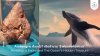 Ambergris Explained The Ocean’s Hidden Treasure 