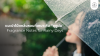 Fragrance Notes for Rainy Days Thekingdomscent