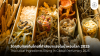 Thai Local Ingredients Rising in Global Perfumery 2025