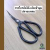 กรรไกรปากโค้ง ตัดโค้ง ตัดวงกลม