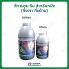 สีทาขอบ-ริม สำหรับหนัง เบอร์10 ตราVUT (กึ่งเงา กึ่งด้าน) มี2ขนาด