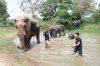 AUTO TOGETHER 2023 #10-1 @Elephants World, Kanchanaburi