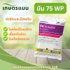 บีม 75 WP ขนาด 100g (ไตรไซคลาโซล)