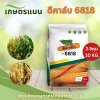 ดีคาล์บ 6818 (DK 6818) 3.5 หุน 10kg