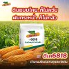 ดีคาล์บ 6818 (DK 6818) 3.5 หุน 10kg