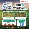 เอม 40 WG คาร์เฟนทาโซน-เอทิล 40%