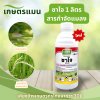 ซาโจ ตราเจียไต๋ คลอร์ฟีนาเพอร์ 10% SC ขนาด 1 ลิตร