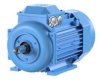 IE2 High Efficiency cast iron motors