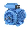 IE3 Premium Efficiency cast iron motors