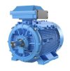 IE4 Super Premium Efficiency cast iron motors