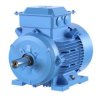 IE2 High Efficiency cast iron motors