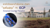 ECP Panacee Wellness Khaoyai ECP Panacee Wellness Khaoyai