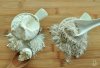 refined and unrefined flour
