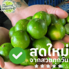 มะนาวแป้นรำไพ (ลูก)
