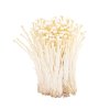 INOKE MUSHROOM