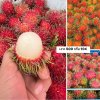 Rambutan