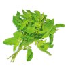 HOLY BASIL100G