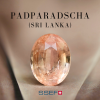 14.01 ct. / UH / LOTUS SUNSET