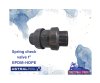 Spring check valve 1"