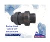 Spring check valve 2-1/2"