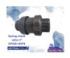 Spring check valve 3"