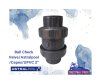 Ball check valve /Astral pool/Cepex/UPVC2"
