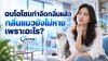 ติดต่อจองบริการอบโอโซนกำจัดกลิ่นแล้ว กลิ่นแมวยังไม่หาย