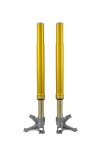 Öhlins Universal Gold Racing Front Fork FGR253 790MM Bagger / Hooligan