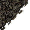 Extra Large Black Sunflower Seeds