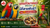 นกแก้วมาคอว์ (Macaw) มีกี่สายพันธุ์? รวม 18 สายพันธุ์นกแก้วขนาดใหญ่ สีสวย เลี้ยงยังไงให้สุขภาพดี
