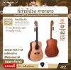 กีต้าร์โปร่ง คาราบาว ฉลองครบรอบ 40 ปี ทรง Dreadnought คอเต็ม 41 นิ้ว Carabao 40CG Anniversary 40 Years Acoustic Guitar