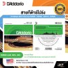 สายกีต้าร์โปร่ง D’Addario 85/15 Bronze EZ890 , EZ900 , EZ910 , EZ920 แท้ USA. พร้อมส่ง