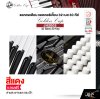 แอคคอเดียน แอคคอร์เดี้ยน 32 เบส 30 คีย์ แถมสายสะพายและกระเป๋า Accordion Golden Cup JH2002 32 Bass 30 Key
