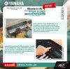 คีย์บอร์ด 61 คีย์ YAMAHA PSR E283 Portable Keyboard 61 Key เหมาะสำหรับมือใหม่หัดเล่น รับประกันศูนย์ไทย 1 ปี มีผ่อน 0%