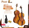 Cello PRIMA P200C size 4/4 , Top Solid Fine Spruce , Back & Side Fine Maple